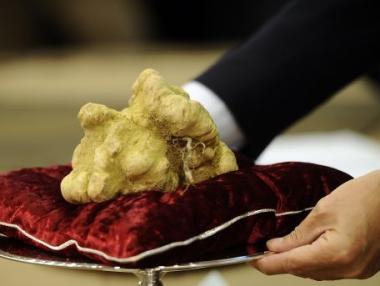 2-килограмов бял трюфел отива на търг в САЩ