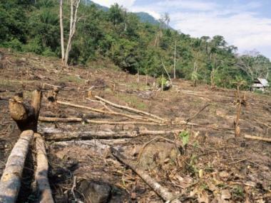 Бразилия се присъединява към борбата срещу климатичните изменения