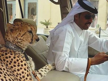 13 неща, които може да видите всеки ден в Дубай