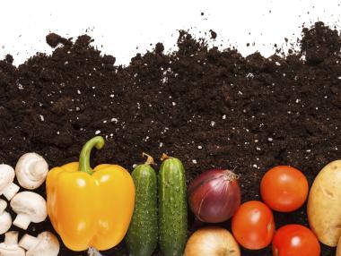 Бум на биоментетaта у нас