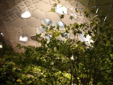 Първият подземен парк в света