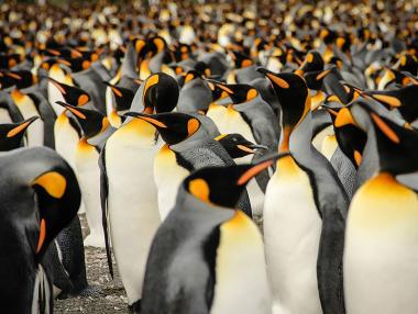 10 от най-добрите кадри на Sony за 2015 г.