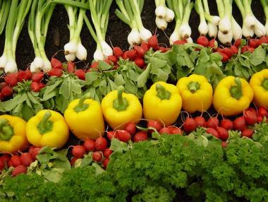 20 пъти ръст на площите в българското биоземеделие