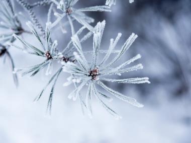 Настъпи астрономическата зима