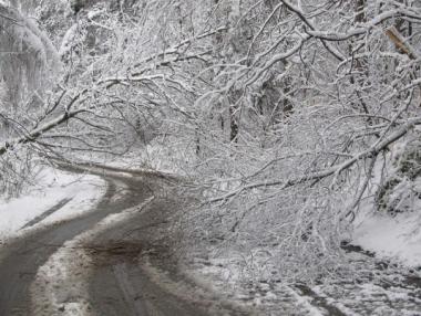 Жълт код за силен вятър, сняг и поледици в цялата страна