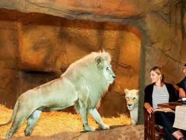 Хотел предлага вечеря в компанията на лъвове