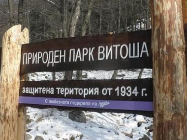 Преброиха 55 диви кози на Витоша за близо 2 млн. лева