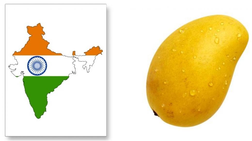 Европейският съюз разреши вноса на индийско манго