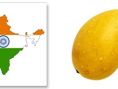 Европейският съюз разреши вноса на индийско манго