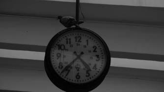 НКЖИ участва за поредна година в „Да изчистим България за един ден“