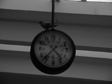 НКЖИ участва за поредна година в „Да изчистим България за един ден“