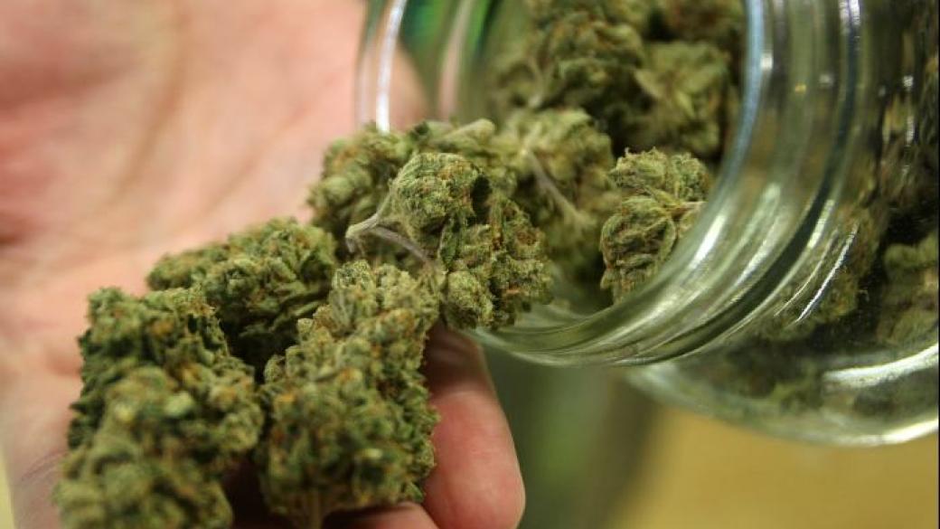 Израелски учени показаха нов вид марихуана