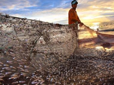 800 хил. лв. изплатени авансово на рибарския сектор