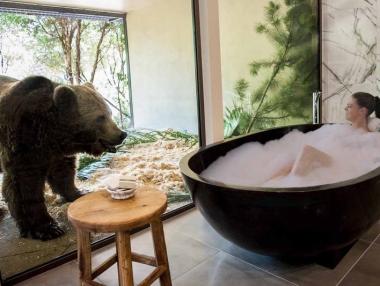 Вечеря с лъвове и вана с мечки в австралийски хотел