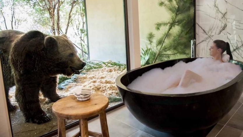 Вечеря с лъвове и вана с мечки в австралийски хотел