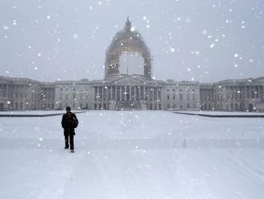 Арктически студове в САЩ
