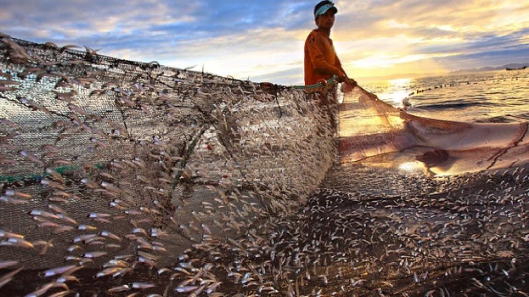 1,1 млн. лева за рибарски проекти