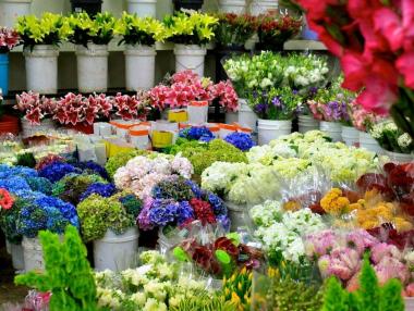 Проверяват търговците на едро с цветя
