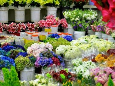 Даваме около 30 млн. лв. за цветя за 8 март