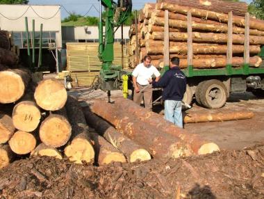 Износителите на дървесина излизат на протест