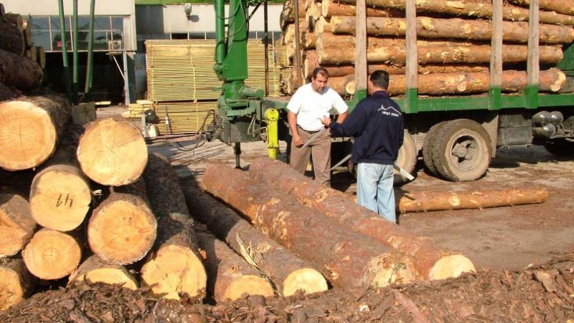 Износителите на дървесина излизат на протест