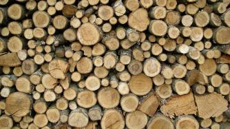 Износители на дървесина блокират Хаинбоаз и границите