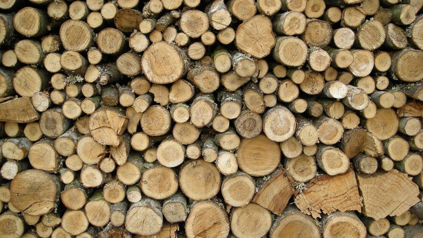 Износители на дървесина блокират Хаинбоаз и границите