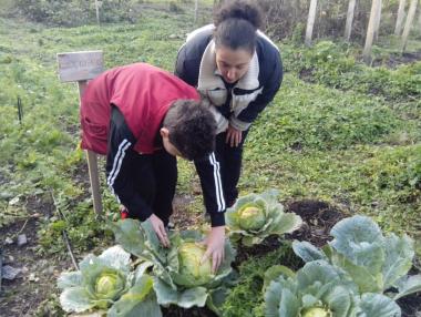 Стартира седмото издание на „Мтел еко грант – природа с бъдеще”