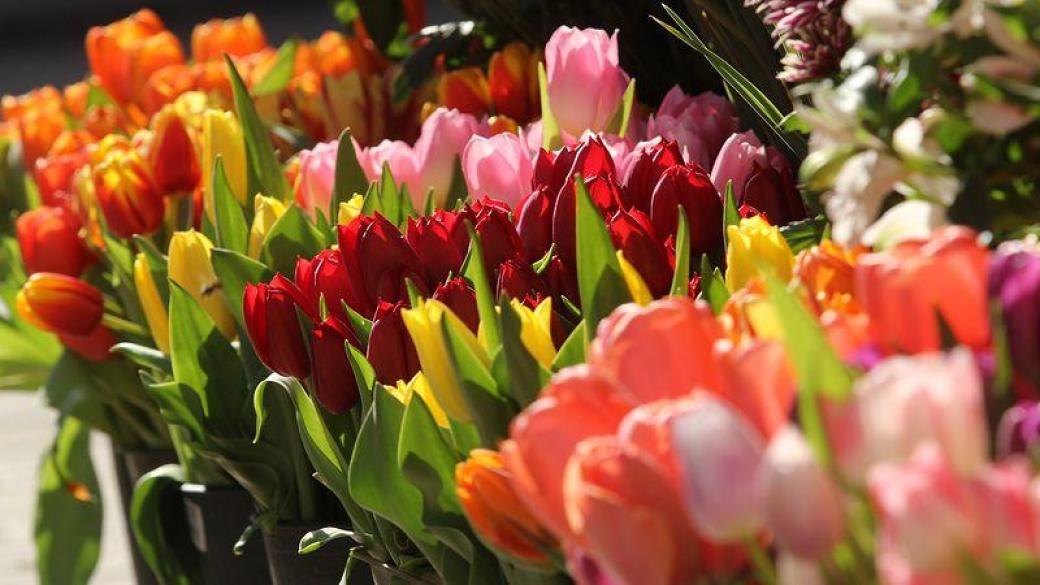 Празнуваме Цветница – един от най-хубавите пролетни празници