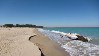 Национализират 78 декара имоти край плажа Корал