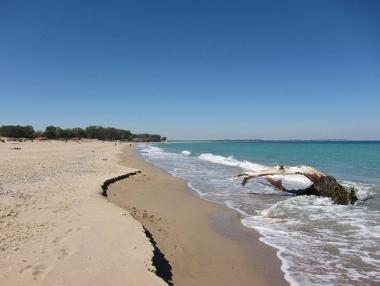 Национализират 78 декара имоти край плажа Корал