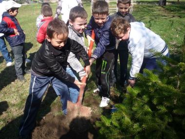 70 проекта се състезават за грантове по програма „Природа с бъдеще“