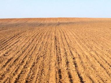 Гратисен период за чуждестранните и офшорни собственици на ниви