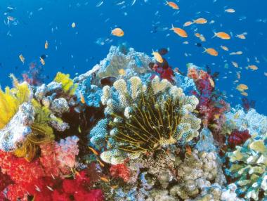 Оцениха основните активи на океаните на 24 млрд. долара