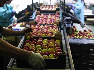 Русия спира вноса на растителна продукция от България