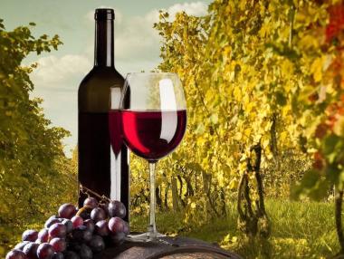 Китай изпревари Франция по лозарски площи