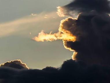 От летящи дракони до пухкави кучета