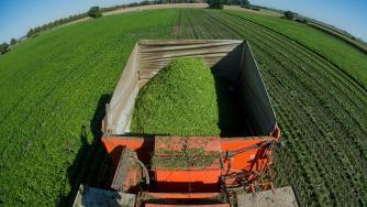 Ръст на биопроизводителите заради евросубсидиите