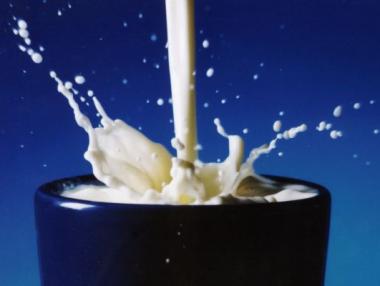 10 забранени храни по света