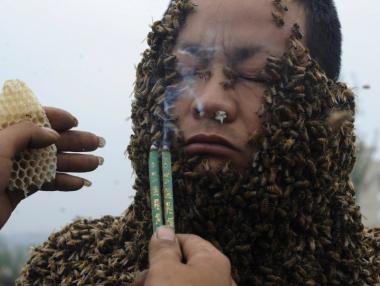 10 от най-странните рекорди на Гинес