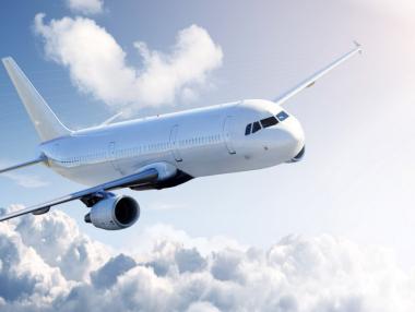 Учени произвеждат самолетно гориво от плесен