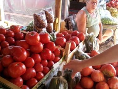 Цените на зеленчуците падат