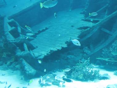 Откриха античен кораб на дъното на Черно море