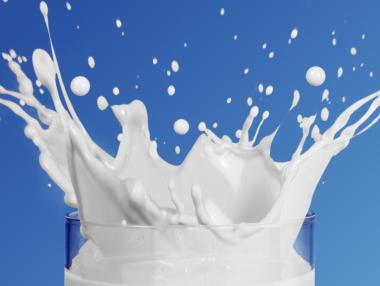 Германия лидер по производство на мляко в Европа