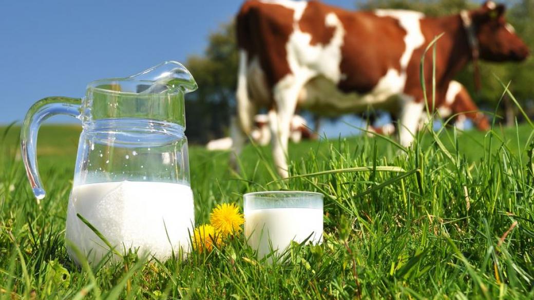 ЕК проверява качеството на българското мляко
