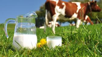 ЕК проверява качеството на българското мляко