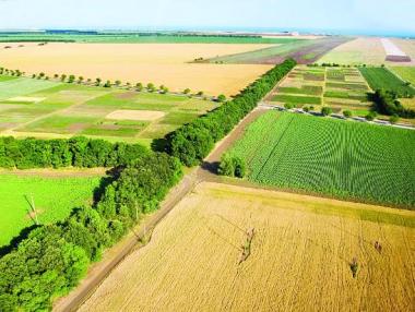 Всеки пети притежател на земеделска земя я оставя да пустее