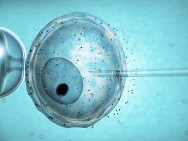 Отпускат 14 млн. лв за репродуктивно здраве