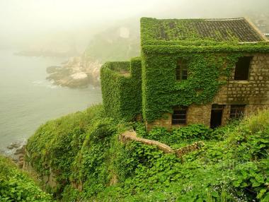 Китайско село потънало в зеленина