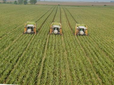 Губим 1,5 млрд. лева годишно от непроизведени земеделски продукти